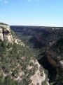 Looking down the canyon.jpg